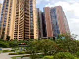 深圳清湖小產(chǎn)權(quán)房網(wǎng)-金蘋(píng)果7棟大型花園小區(qū)房